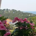 Adria 3* Póla