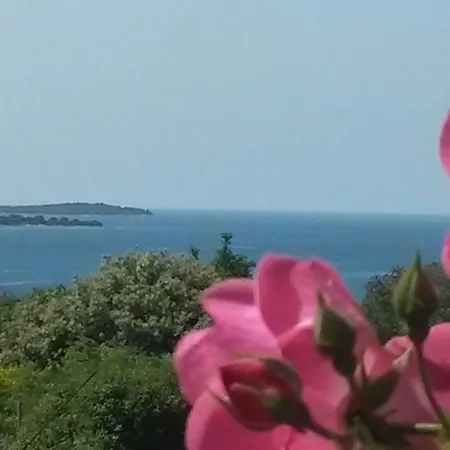 Adria Konukevi 3*