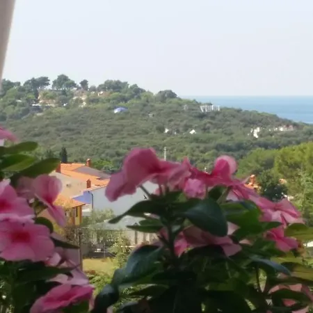 Adria 3* Póla