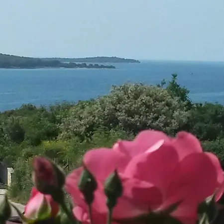 Adria Konukevi Pula