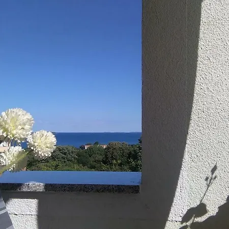 Guesthouse Adria 3*