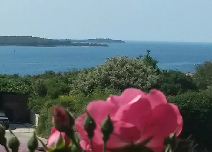 Adria Gæstehus Pula